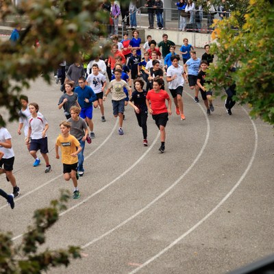 cross 19