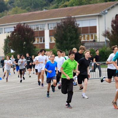 cross 24