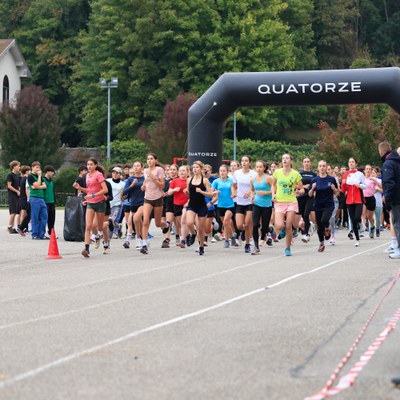 cross 26