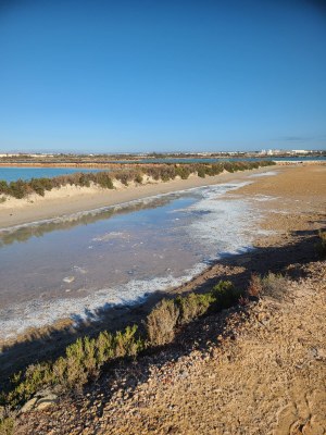 murcia espagne secondes 2023mars (84)