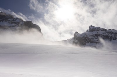 refuge 099