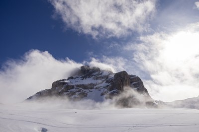 refuge 102