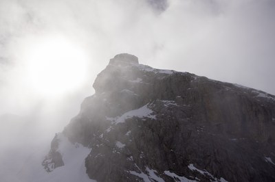 refuge 104