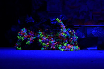 2024_theatre 4-3_troupe 4e (96).jpg