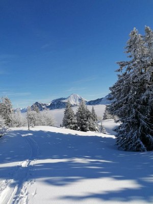 ski rando bauges 2022.01.12 (7)